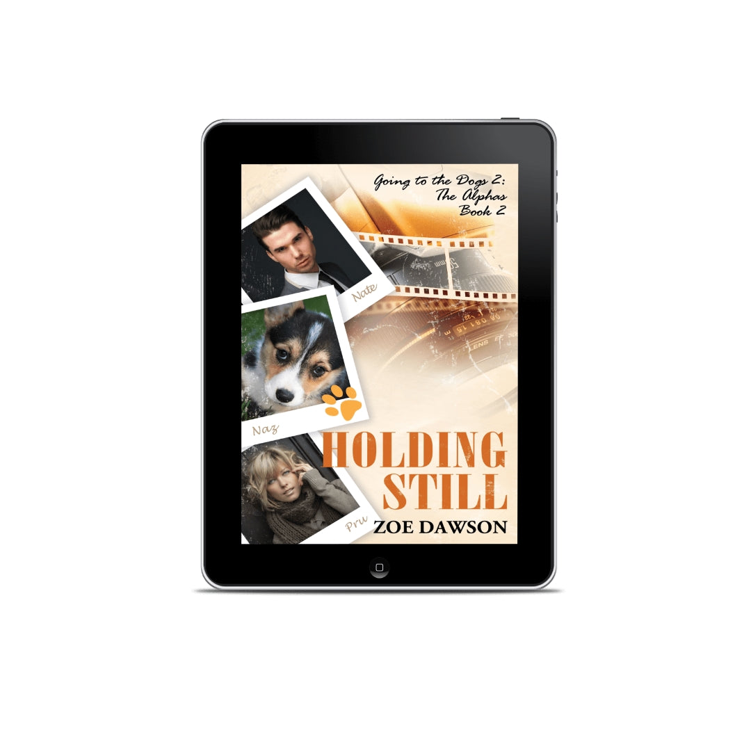 Holding Still (E-Book)