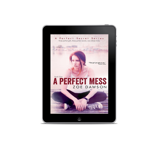 A Perfect Mess (E-Book)