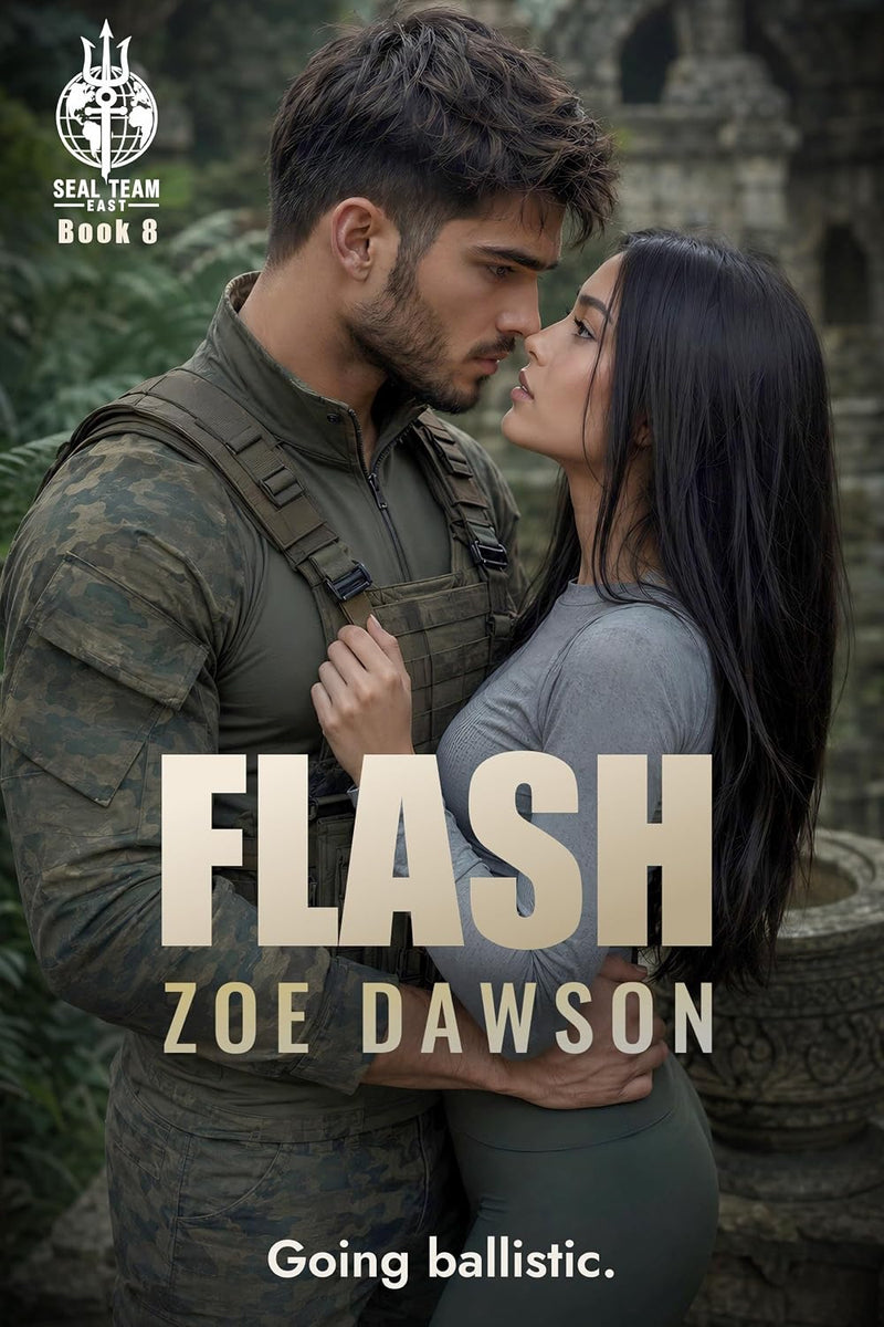 Flash (E-Book)