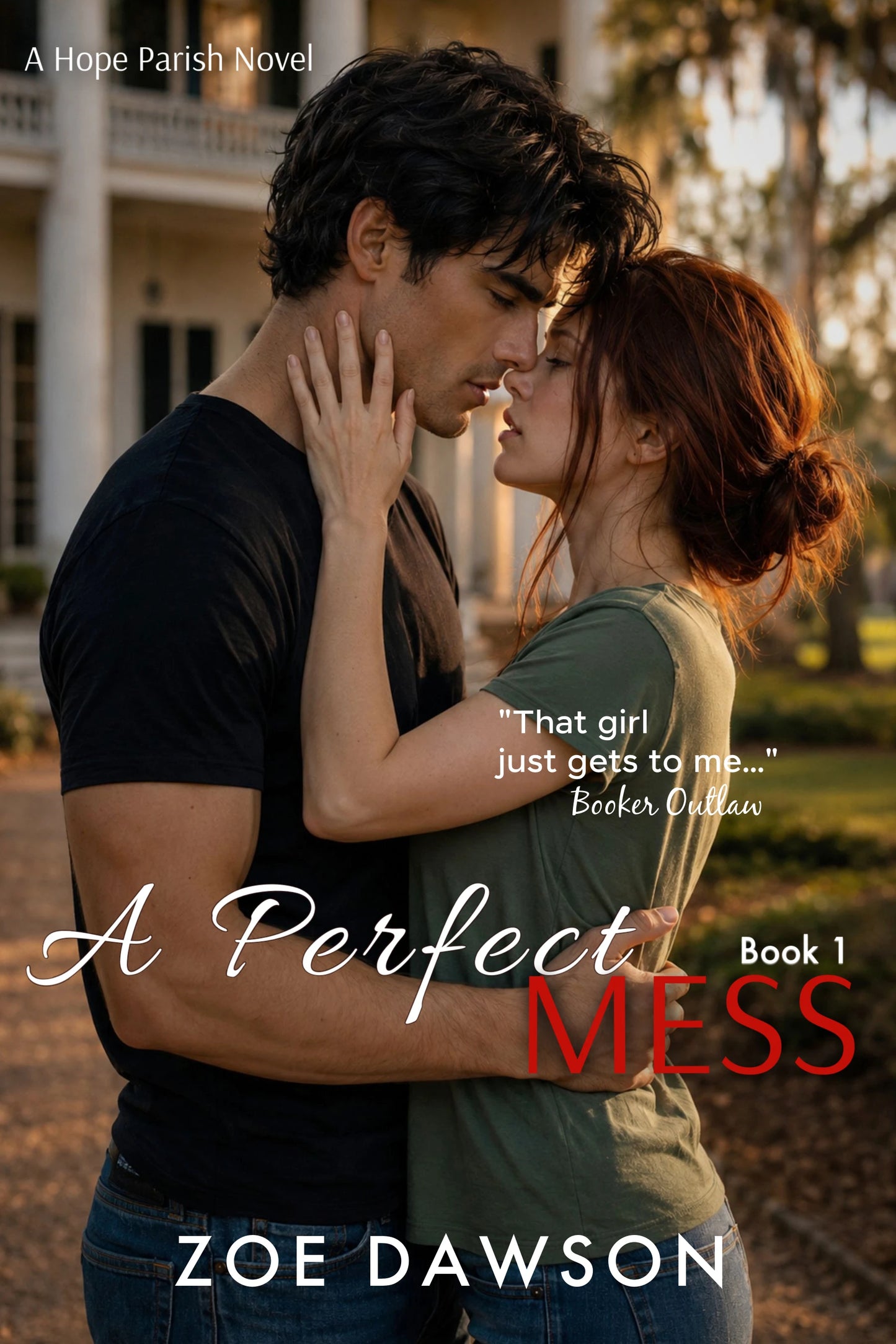 A Perfect Mess (E-Book)